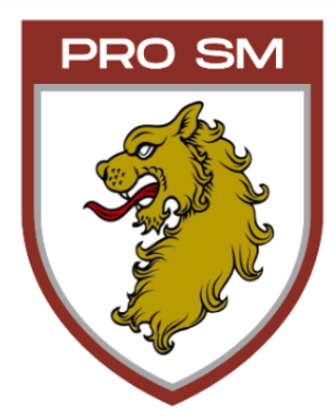 ProSM Logo